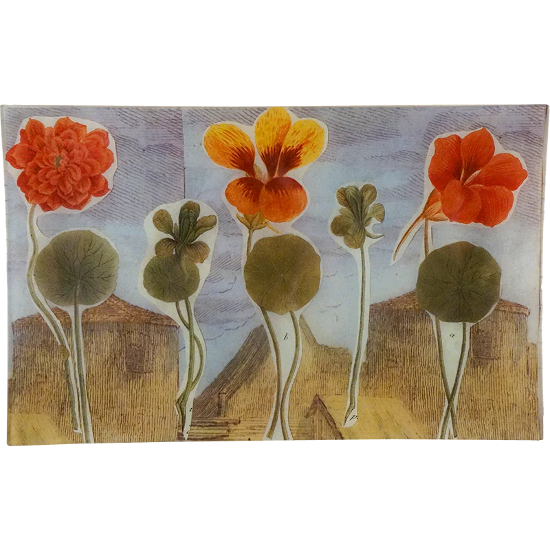Nasturtium in Village (Collage)