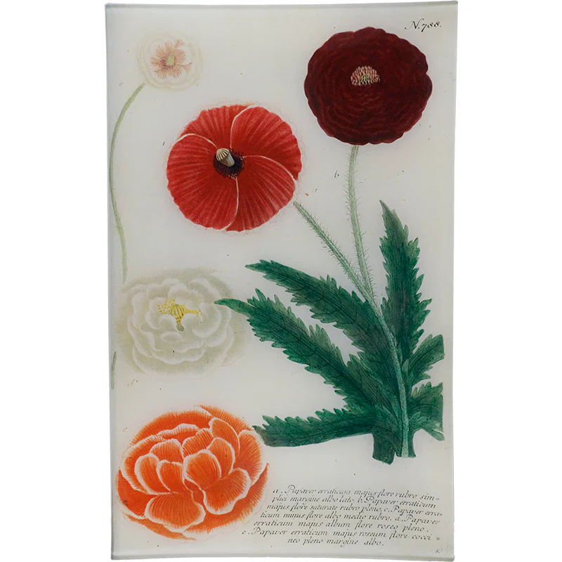 N. 788 Dark Red Poppy