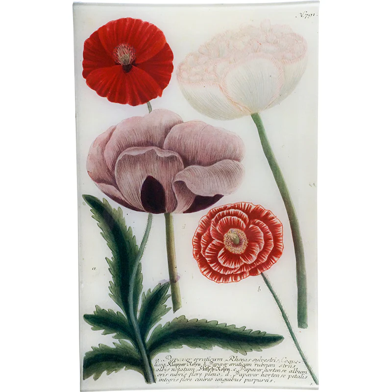 N. 791 Wild Rose Poppy