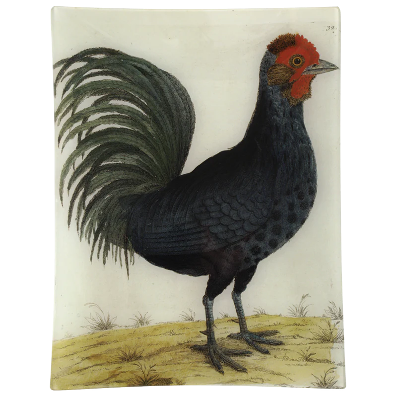 #17 - Hamburg Cock