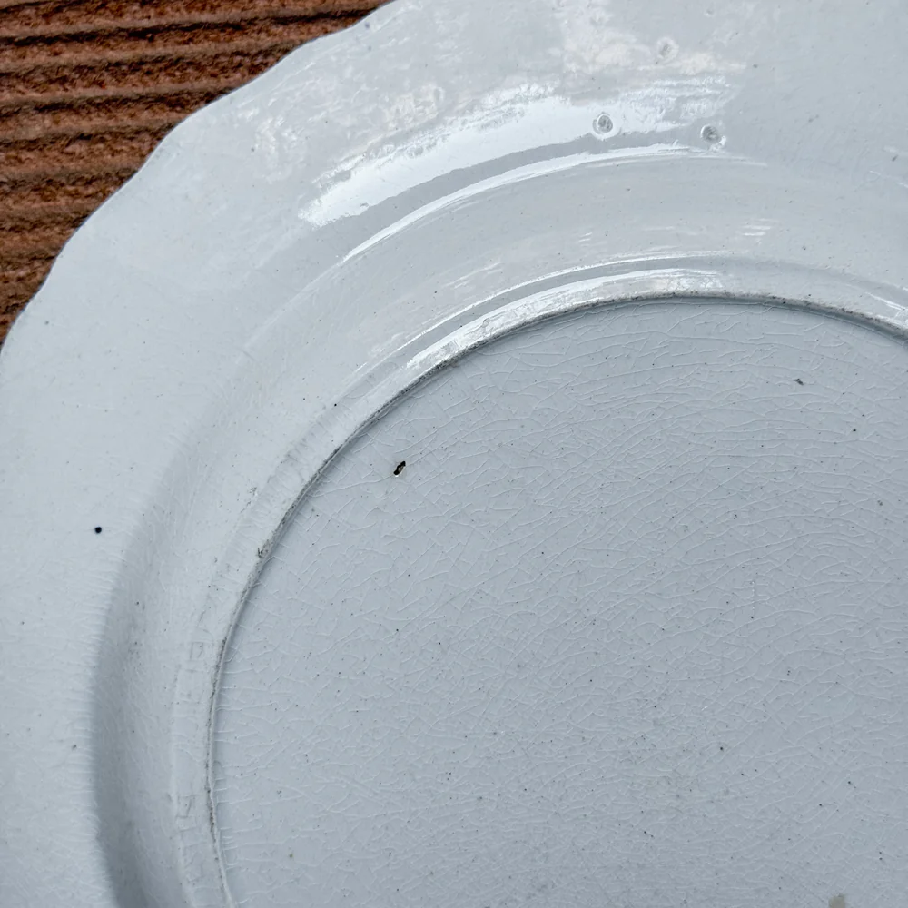 19th-century Blue Feather Edge Ironstone Plate (G) - Image 5
