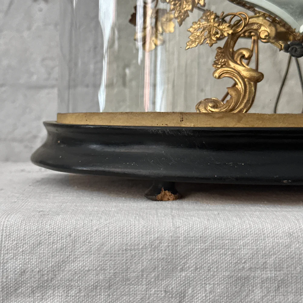 19th Century French Globe de Mariée Marriage Cloche (GM16) - Image 3