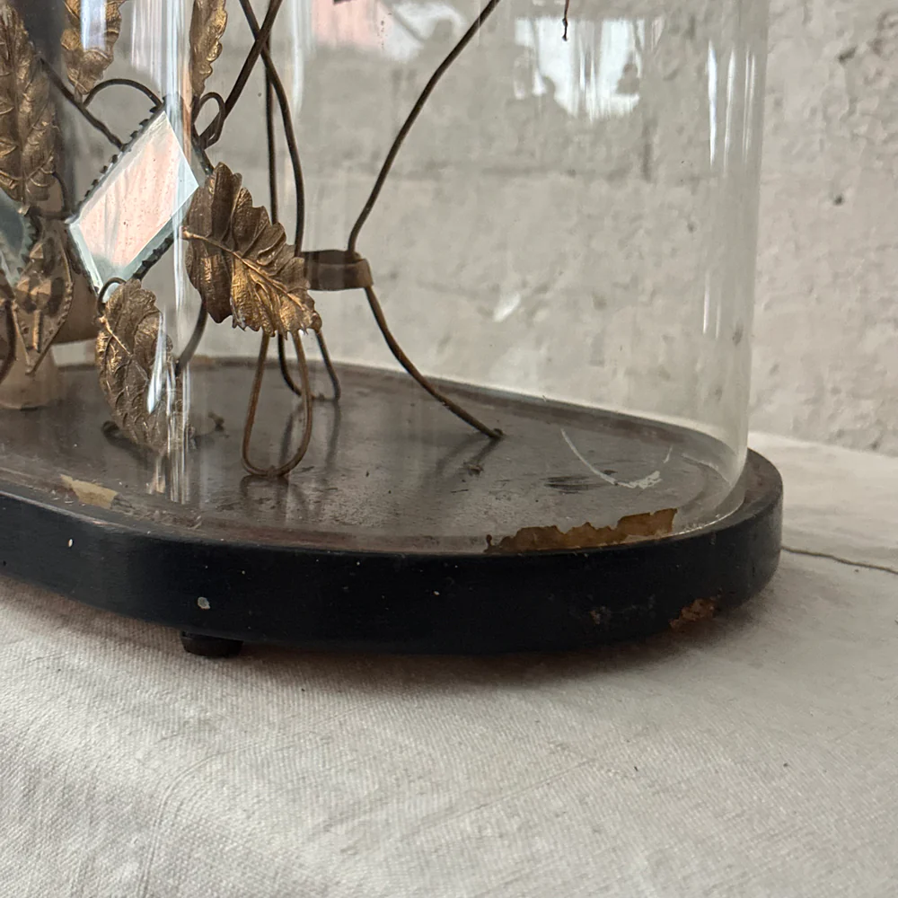 19th Century French Globe de Mariée Marriage Cloche (GM24) - Image 5