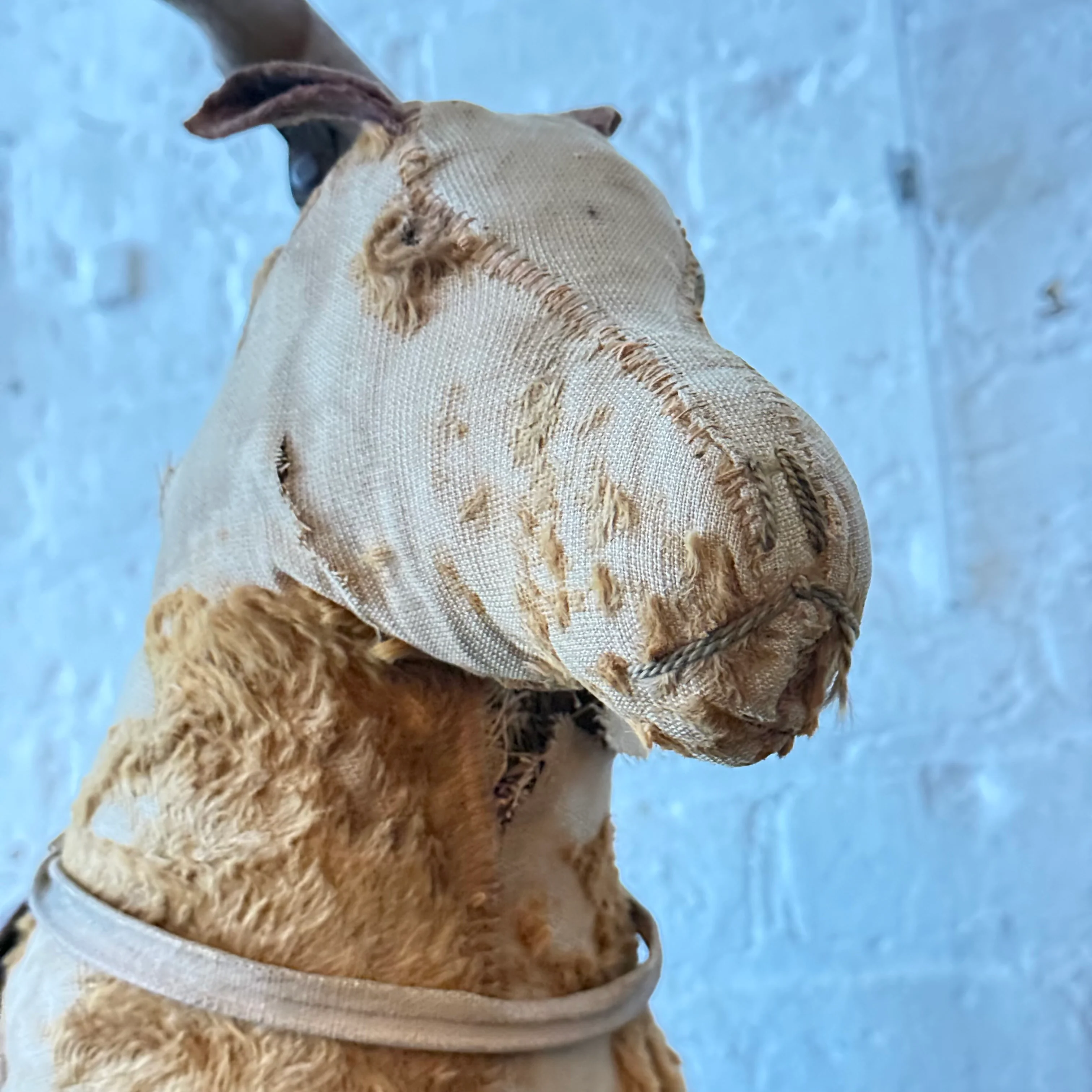 19th-century French Toy Horse on Wheels - Image 8
