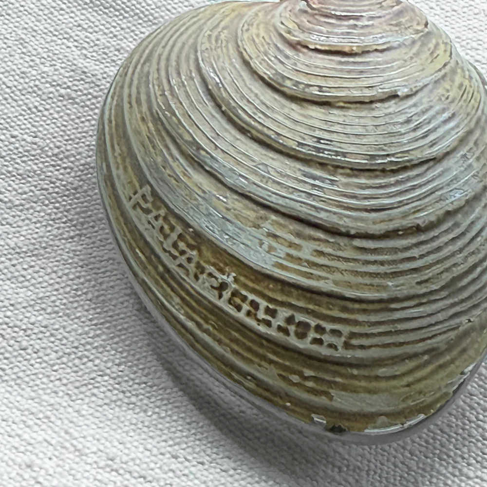19th-century Glass Shell Flask (#2) - Image 2