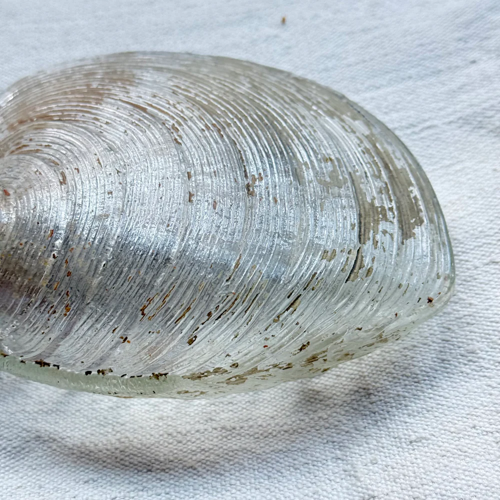 19th-century Glass Shell Flask (#4) - Image 2