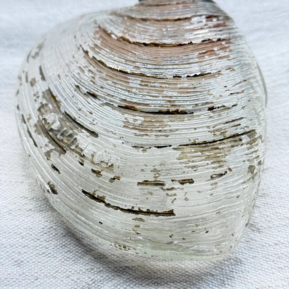 19th-century Glass Shell Flask (#4) - Image 3