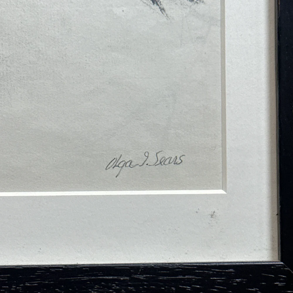 20th-century USA Bird Drawing by Olga Sears - Image 3