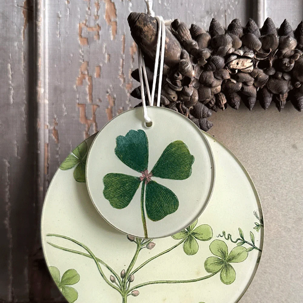 Clover - Image 3