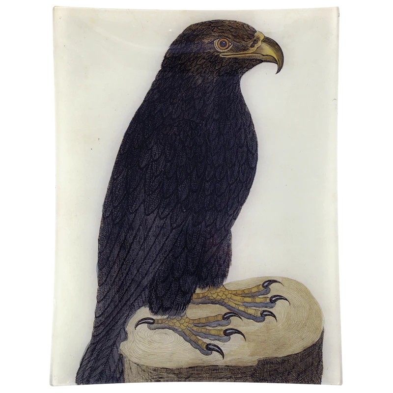 #41 - Black Eagle