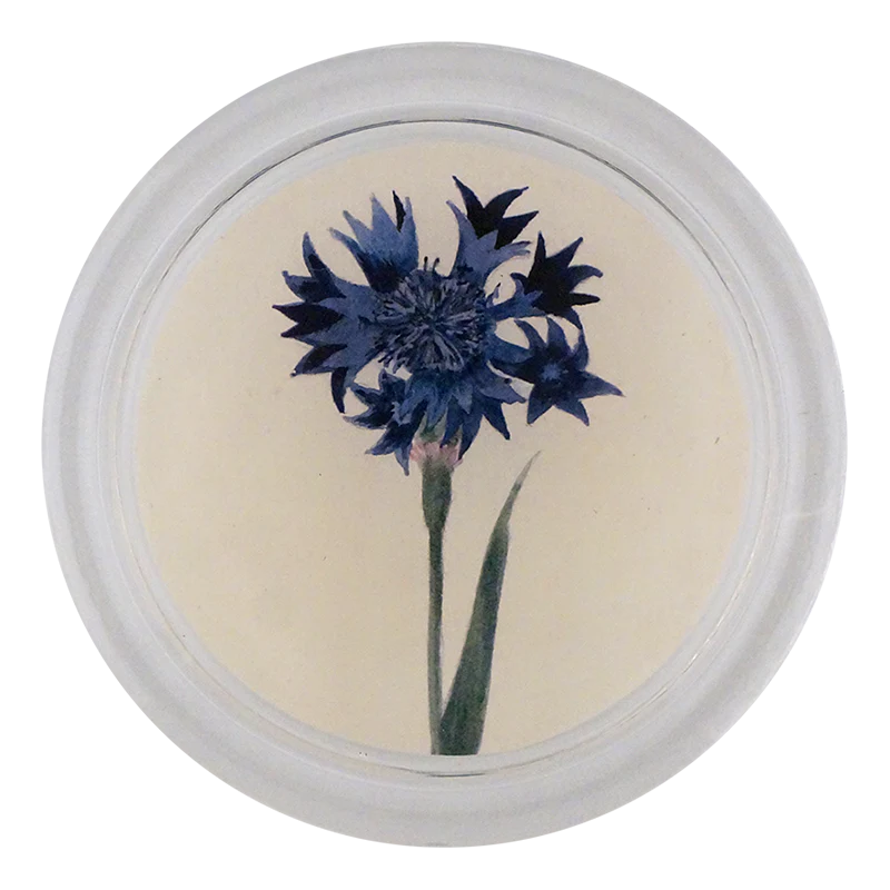 Blue Bottle