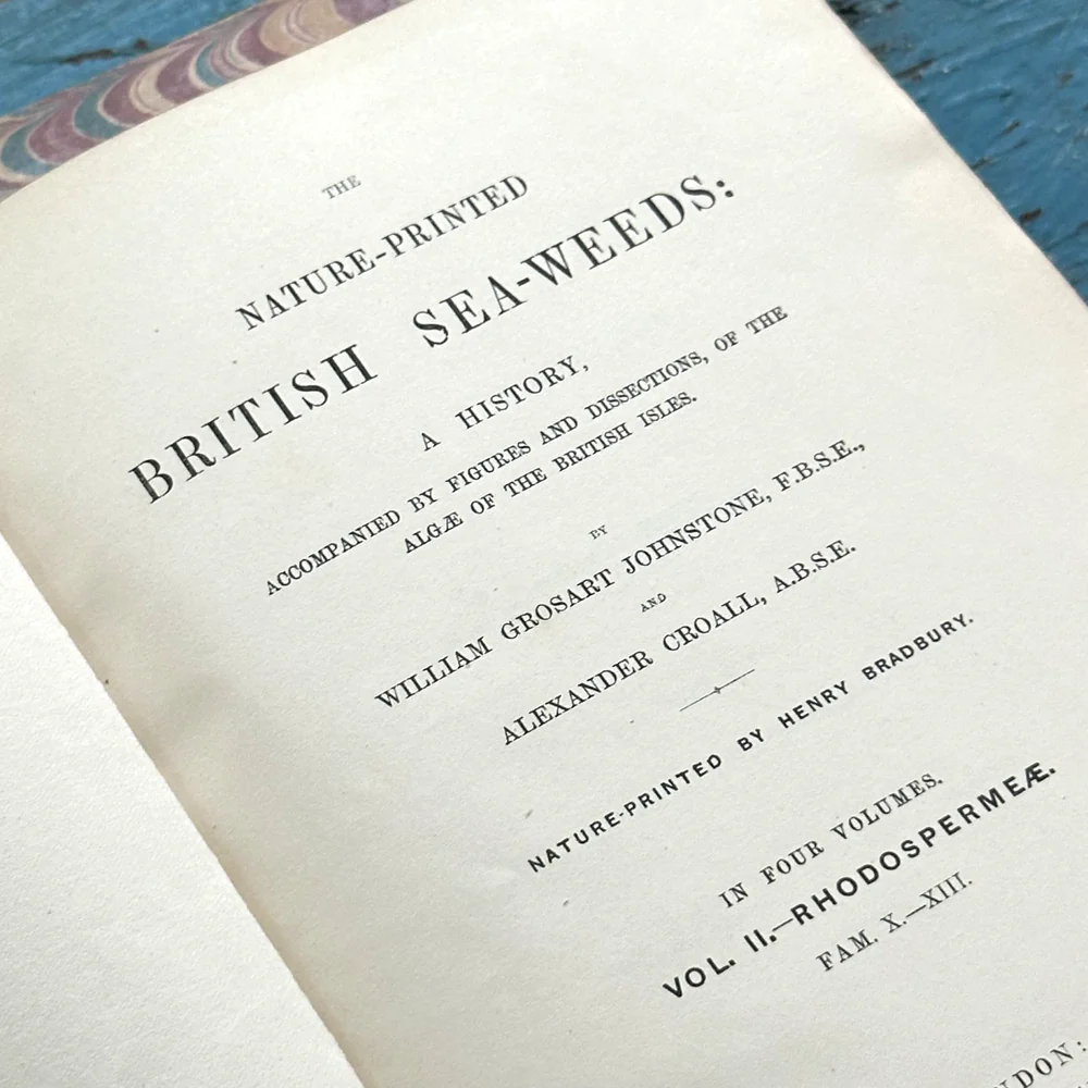Antique 4-Volume Set: British Seaweeds by Henry Bradbury (1859) - Image 2