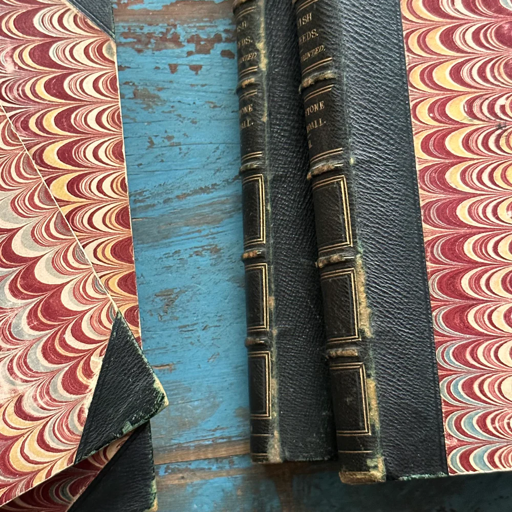 Antique 4-Volume Set: British Seaweeds by Henry Bradbury (1859) - Image 6