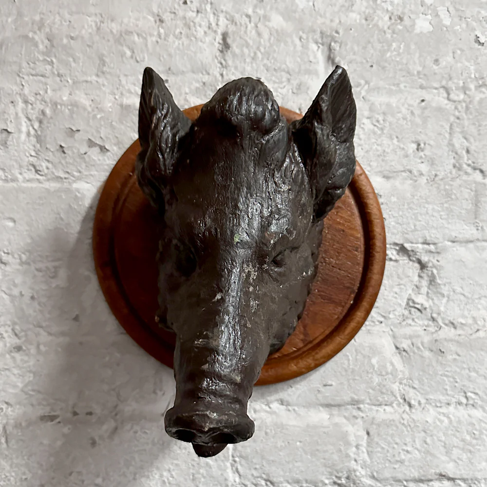 Antique Black Forest Carved Black Boar Head (23B02) - Image 2