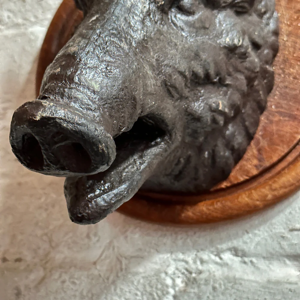 Antique Black Forest Carved Black Boar Head (23B02) - Image 3