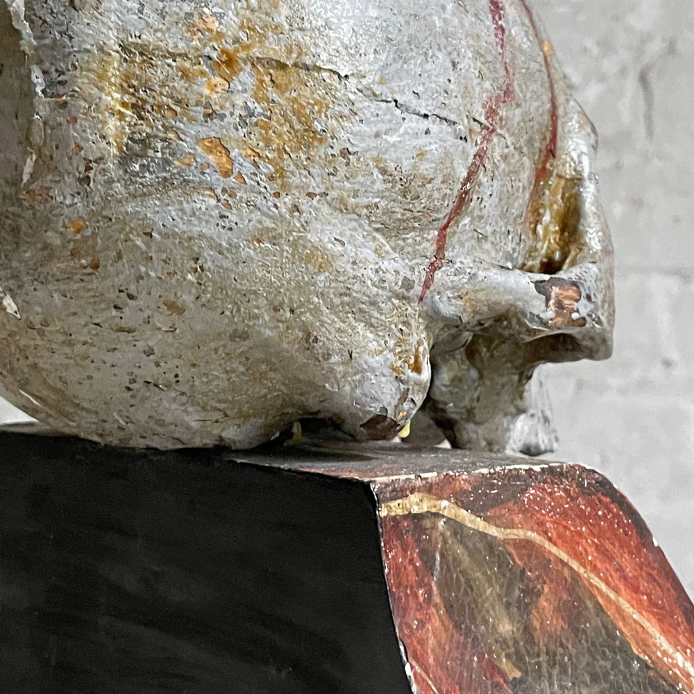 Antique Carved Austrian Skull - Image 3