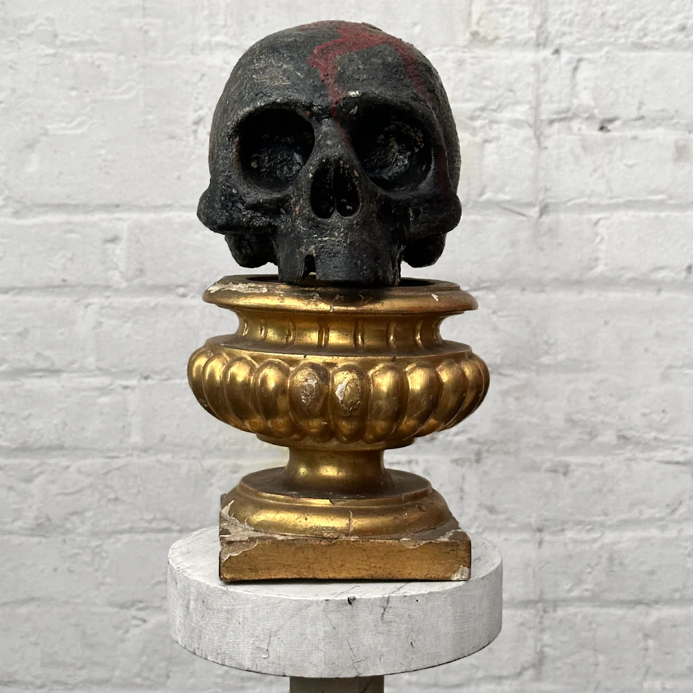 Antique Carved Austrian Skull - Image 2