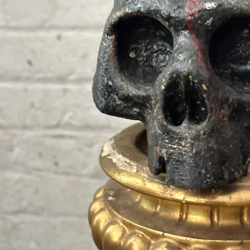 Antique Carved Austrian Skull - Image 3