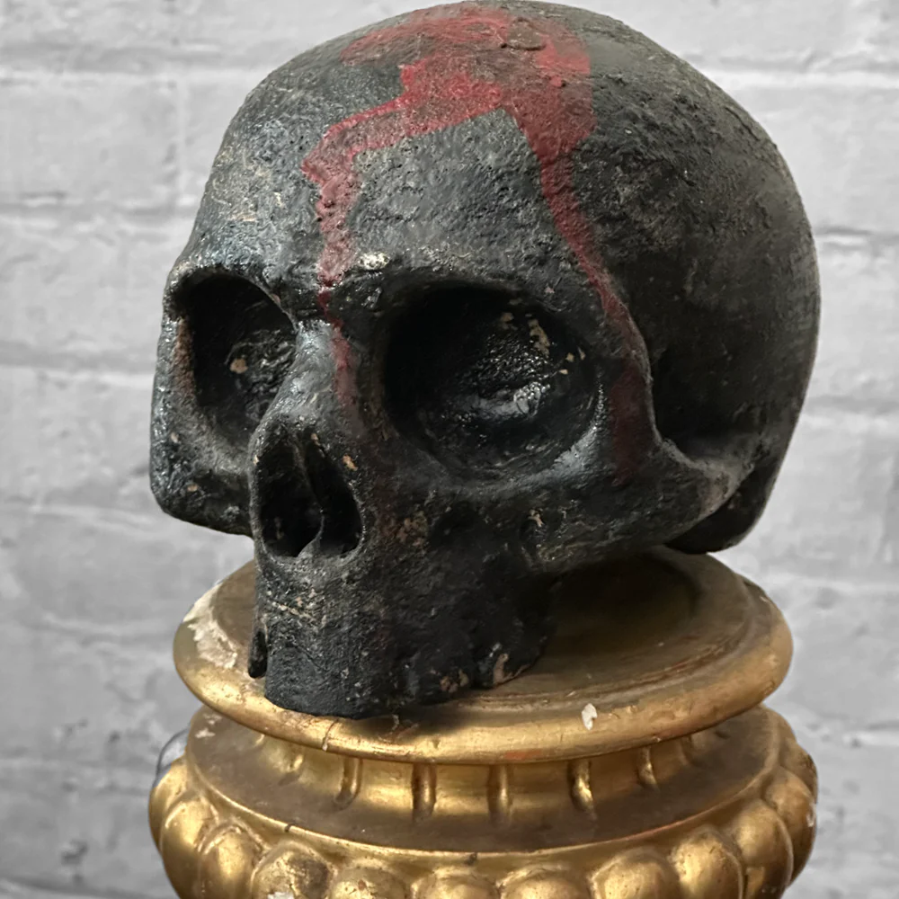 Antique Carved Austrian Skull - Image 4