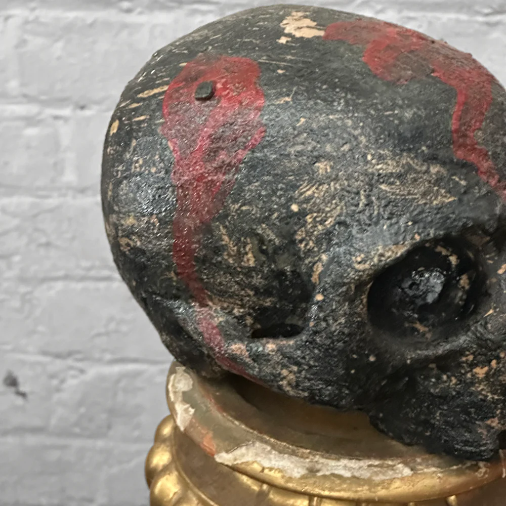 Antique Carved Austrian Skull - Image 5