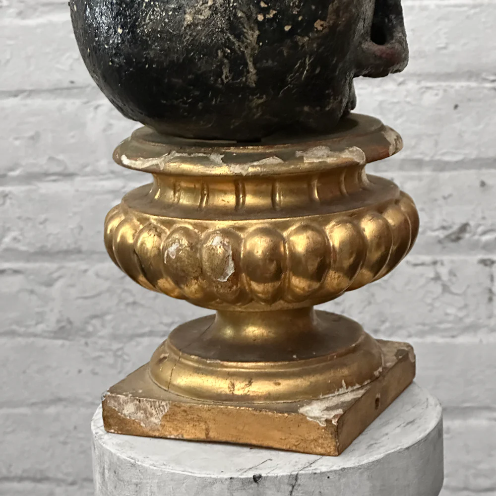 Antique Carved Austrian Skull - Image 6