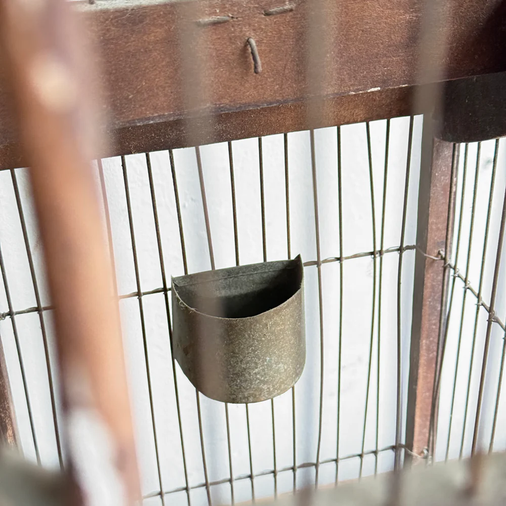 Antique Victorian Dome Top Bird Cage - Image 6