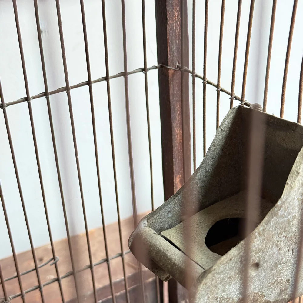 Antique Victorian Dome Top Bird Cage - Image 8