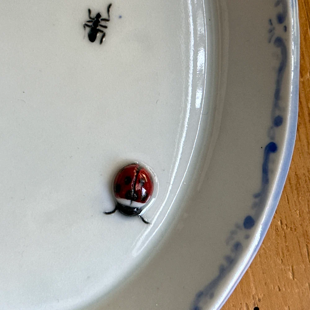 Beetles, Lady Bug & Bee Oval Bug Plate (BC228) - Image 3