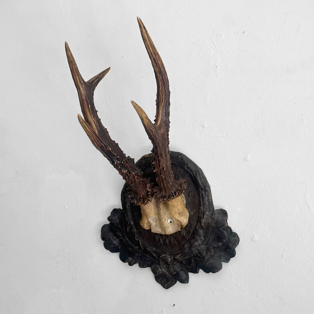 Black Forest Antlers on Carved Plaque (#549) - Image 2