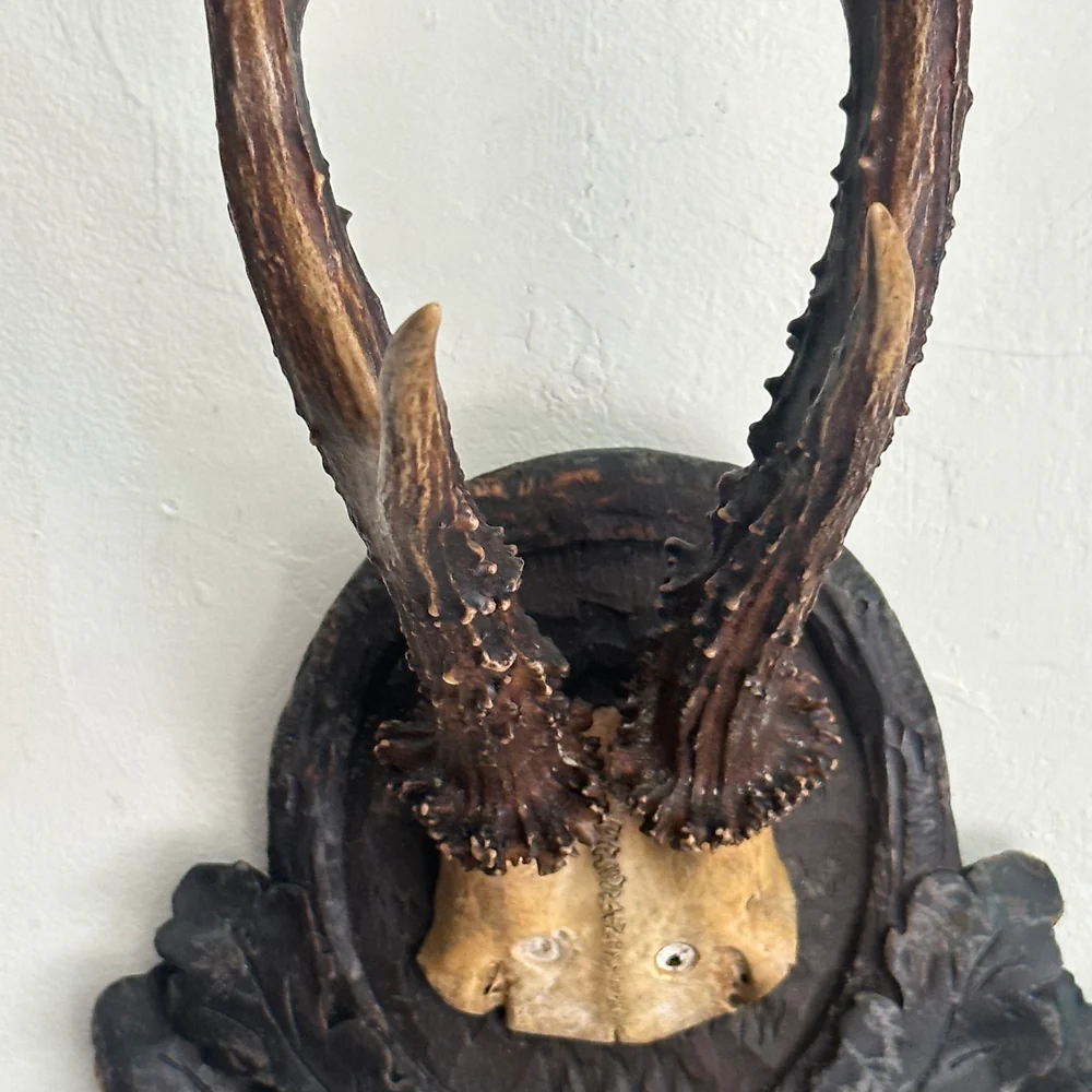 Black Forest Antlers on Carved Plaque (#549) - Image 3
