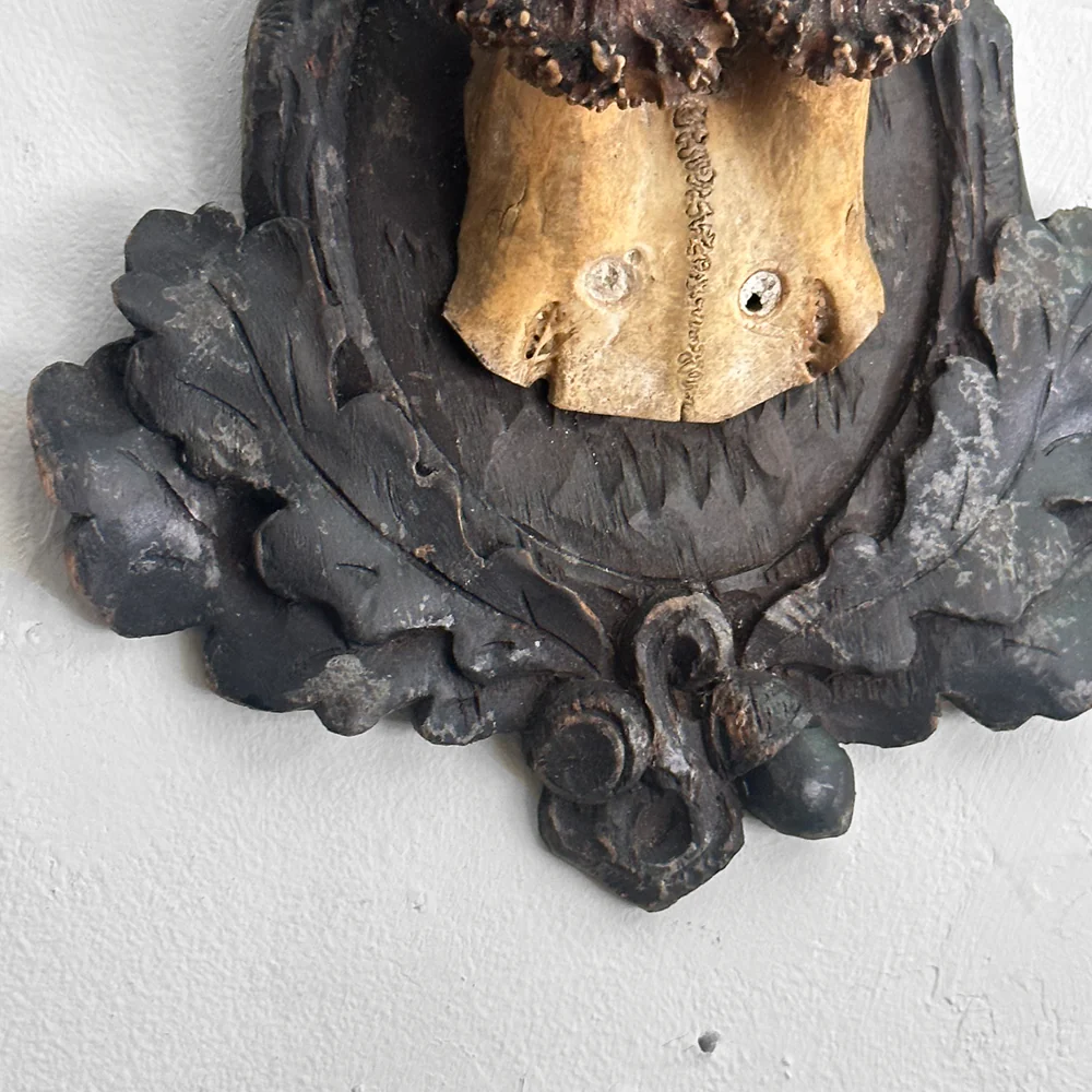 Black Forest Antlers on Carved Plaque (#549) - Image 4