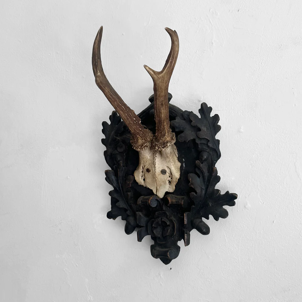Black Forest Antlers on Carved Plaque (#550) - Image 2