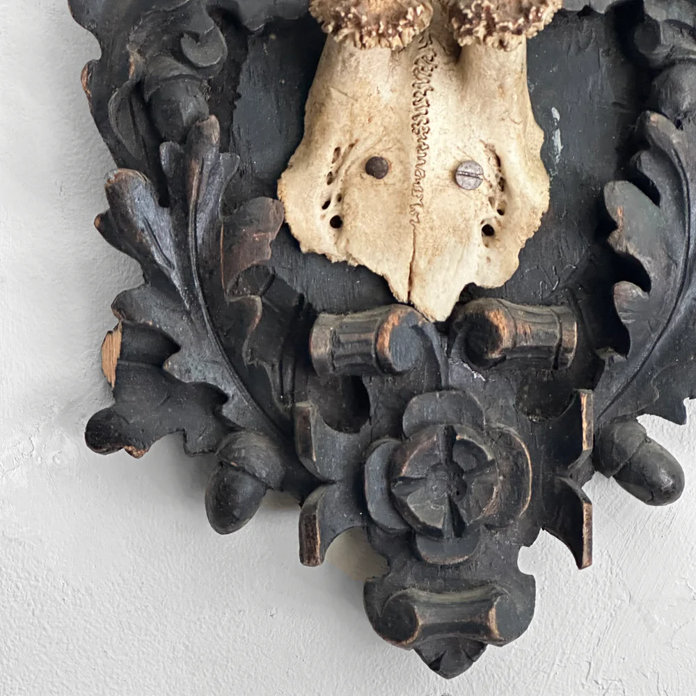 Black Forest Antlers on Carved Plaque (#550) - Image 3