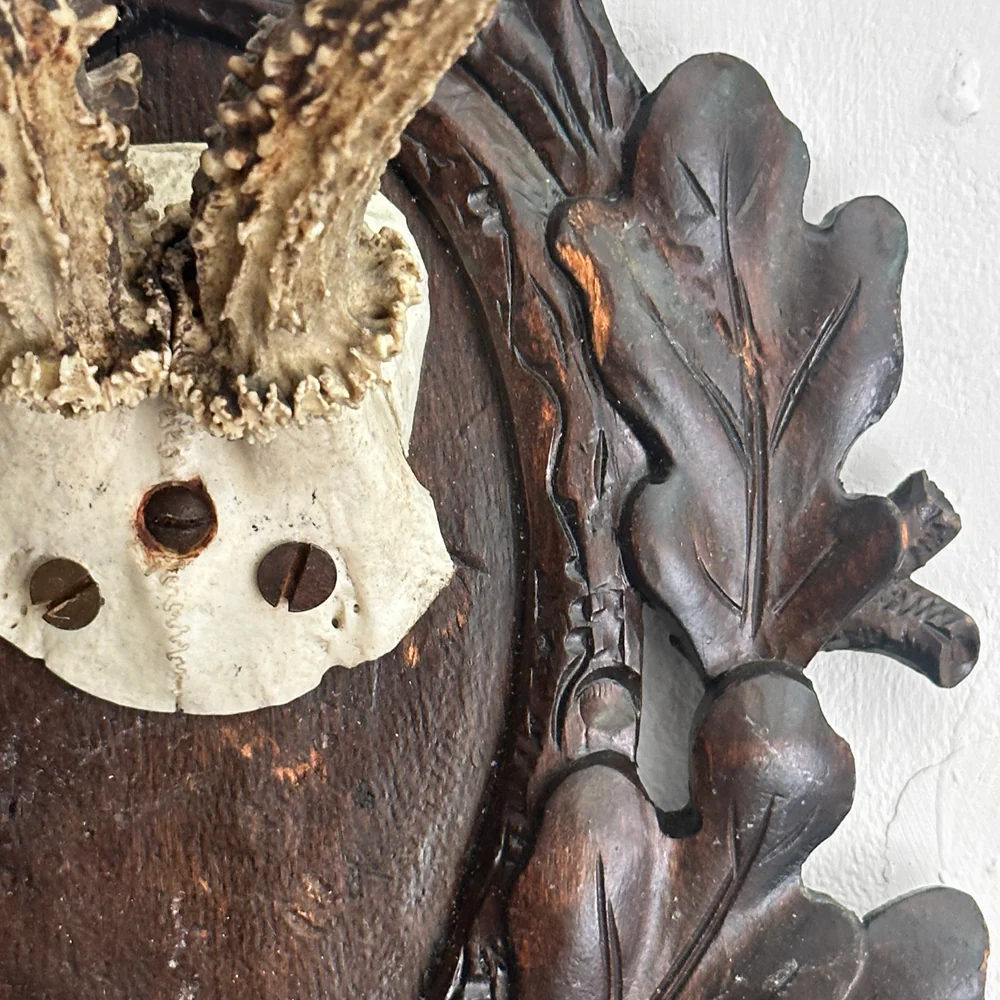 Black Forest Antlers on Carved Plaque (#551) - Image 4