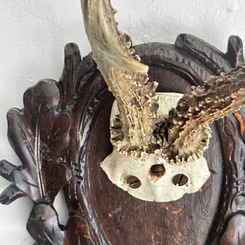Black Forest Antlers on Carved Plaque (#551) - Image 5