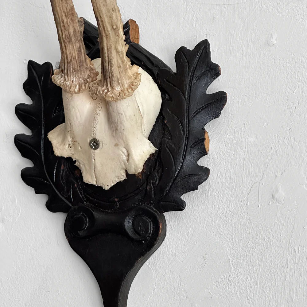 Black Forest Antlers on Carved Plaque (#553) - Image 2