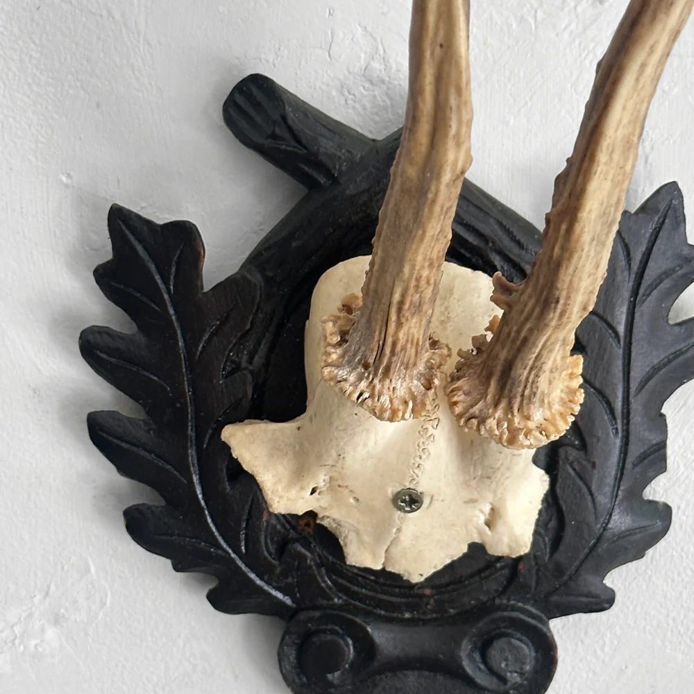 Black Forest Antlers on Carved Plaque (#553) - Image 4