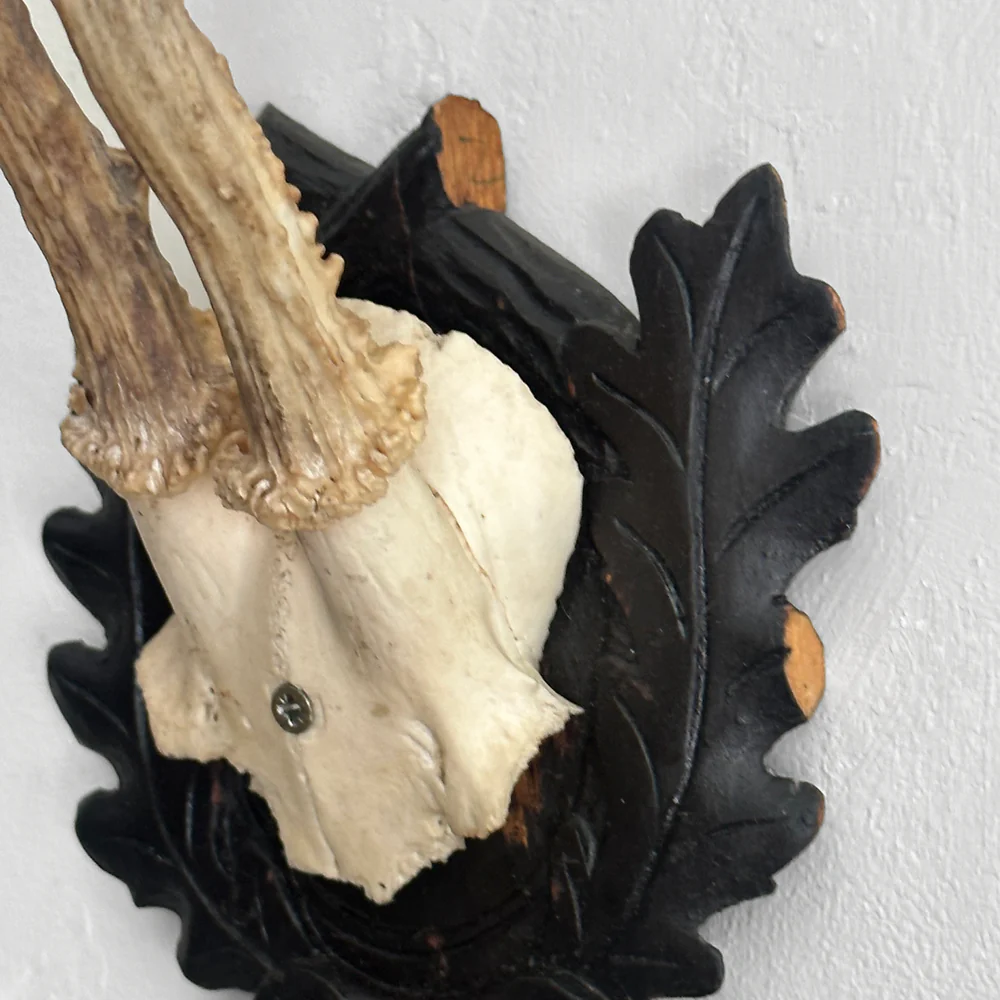 Black Forest Antlers on Carved Plaque (#553) - Image 5