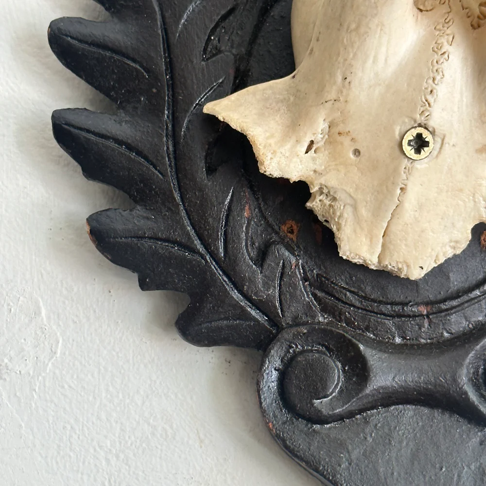 Black Forest Antlers on Carved Plaque (#553) - Image 6