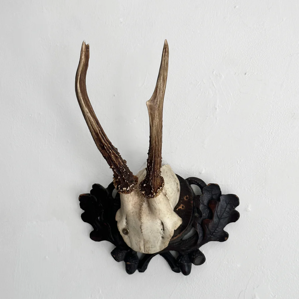 Black Forest Antlers on Carved Plaque (#554) - Image 2