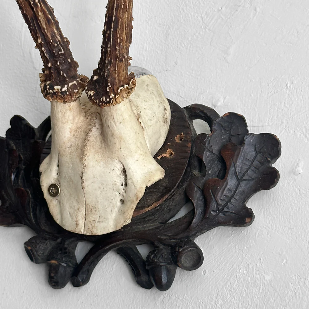 Black Forest Antlers on Carved Plaque (#554) - Image 3