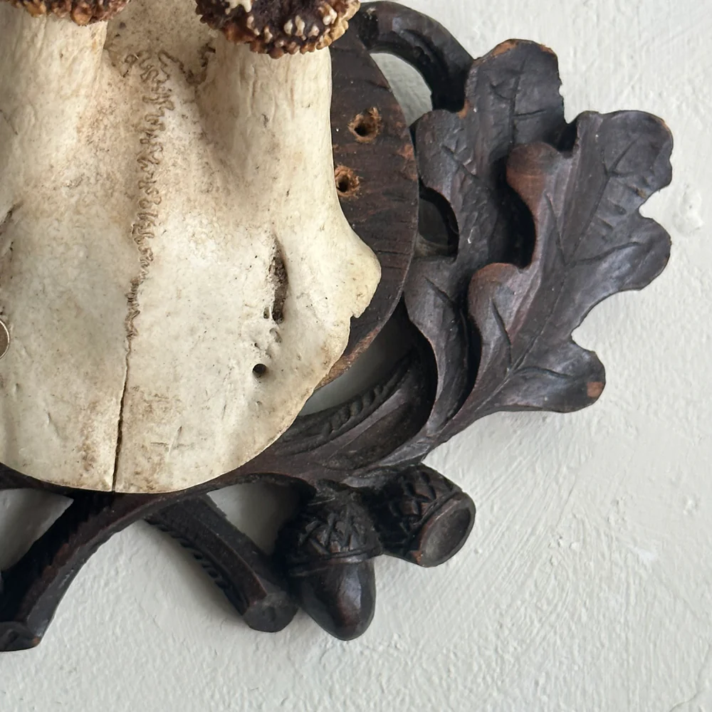Black Forest Antlers on Carved Plaque (#554) - Image 4