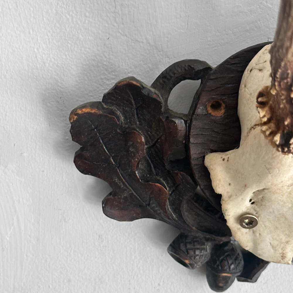 Black Forest Antlers on Carved Plaque (#554) - Image 5