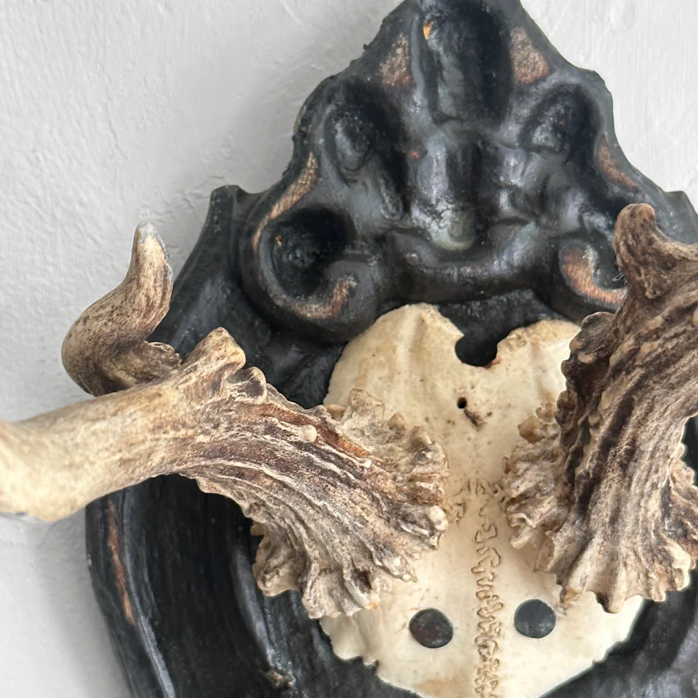 Black Forest Antlers on Carved Plaque (#555) - Image 4
