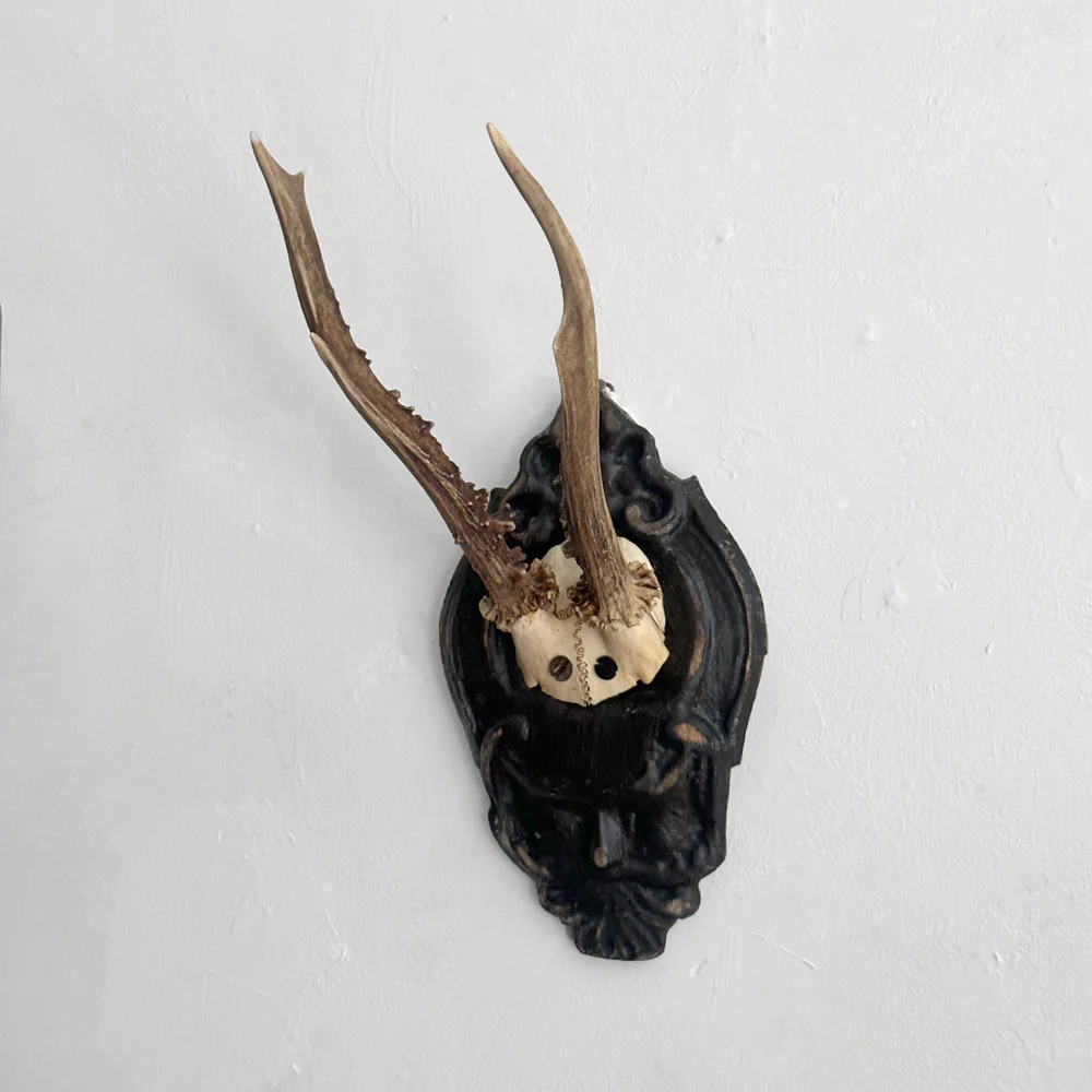 Black Forest Antlers on Carved Plaque (#556) - Image 2