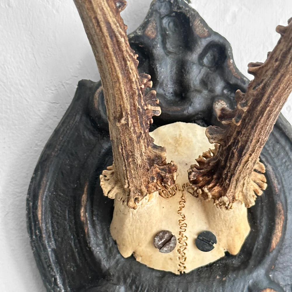 Black Forest Antlers on Carved Plaque (#556) - Image 3