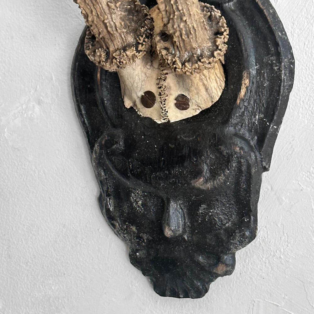 Black Forest Antlers on Carved Plaque (#557) - Image 3