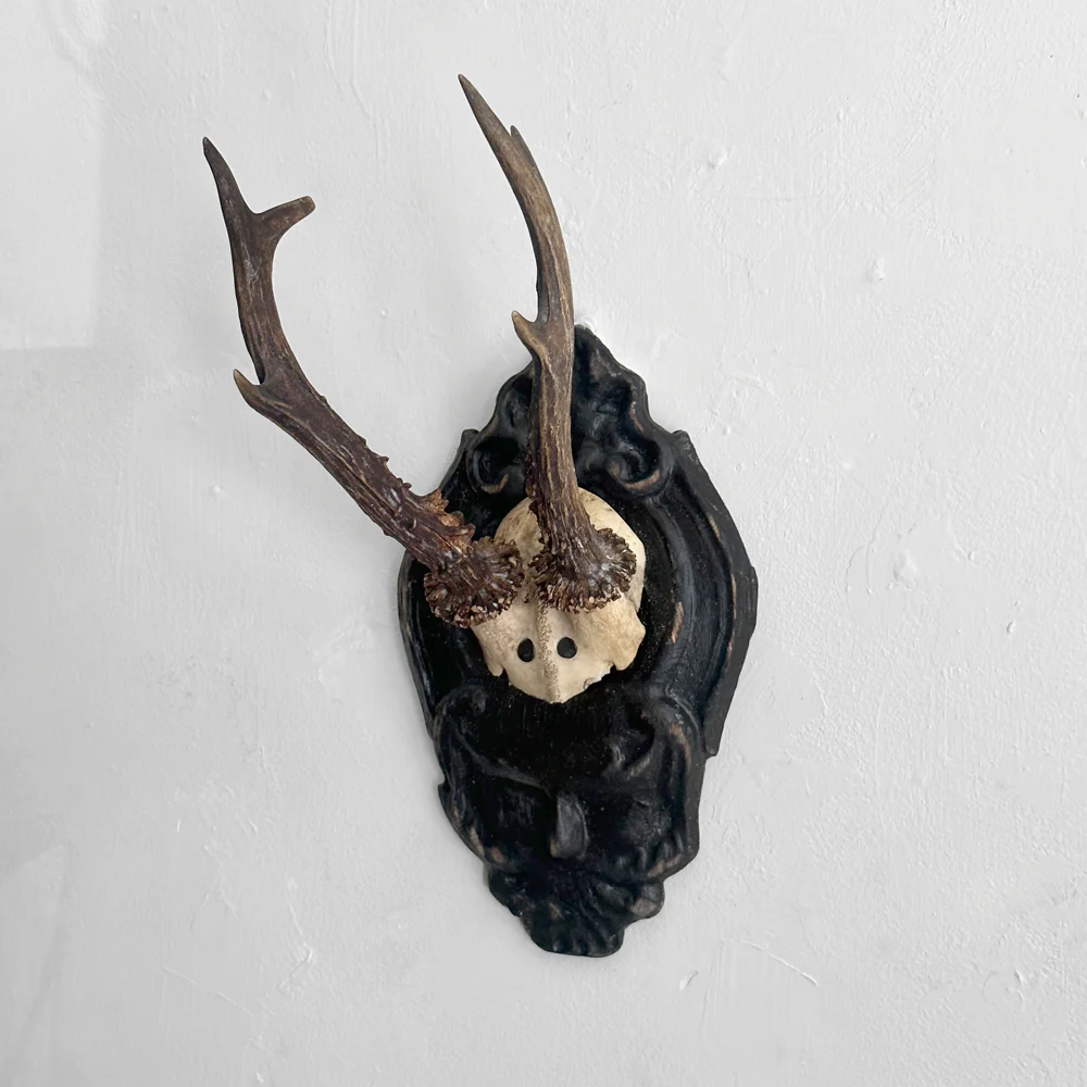 Black Forest Antlers on Carved Plaque (#558) - Image 2