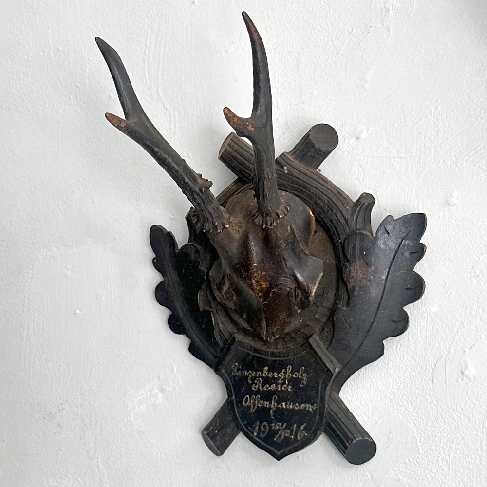Black Forest Antlers on Carved Plaque (#553) - Image 3