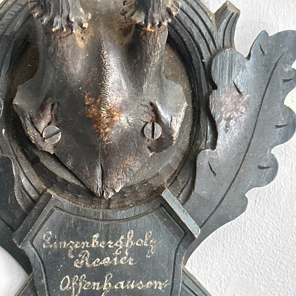Black Forest Antlers on Carved Plaque (#553) - Image 4